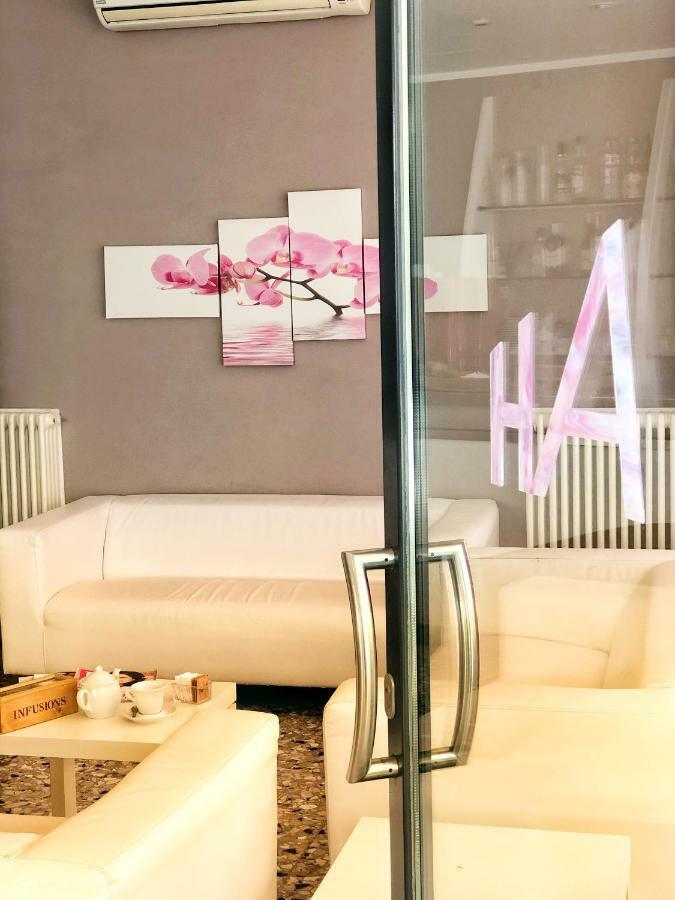 Amoha Rimini